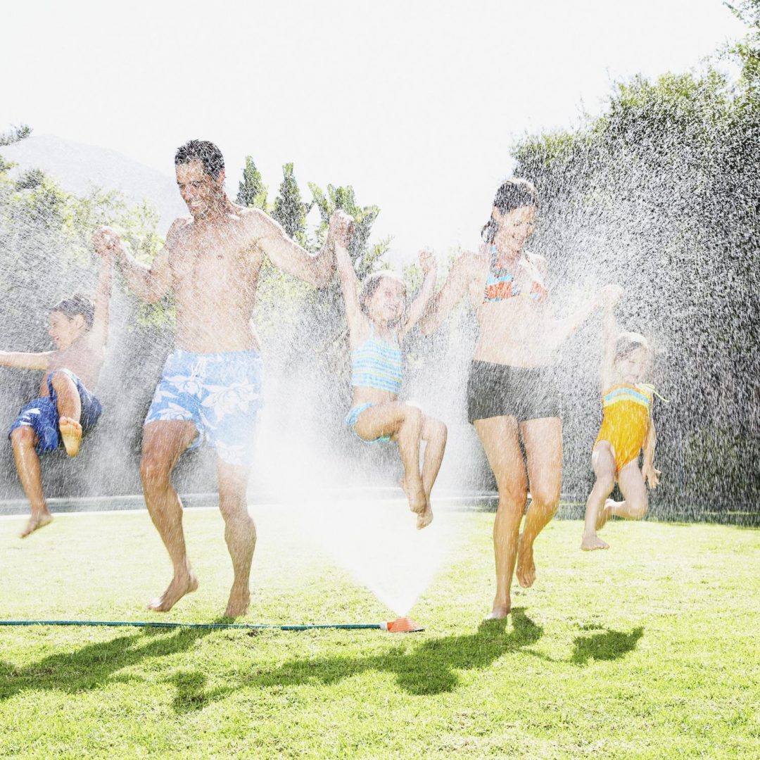 Submit a Comment Cancel reply